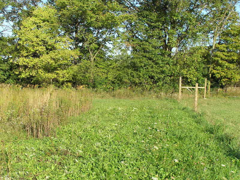 View to the east from the confluence.