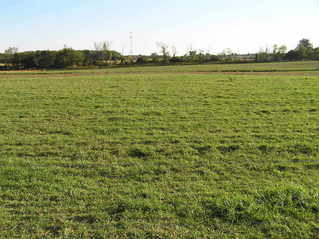 #1: View of the confluence of 42 North 84 West, in the mid-distance of this field, looking due south.