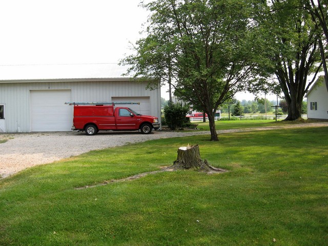 View south, the confluence is near the tree stump.