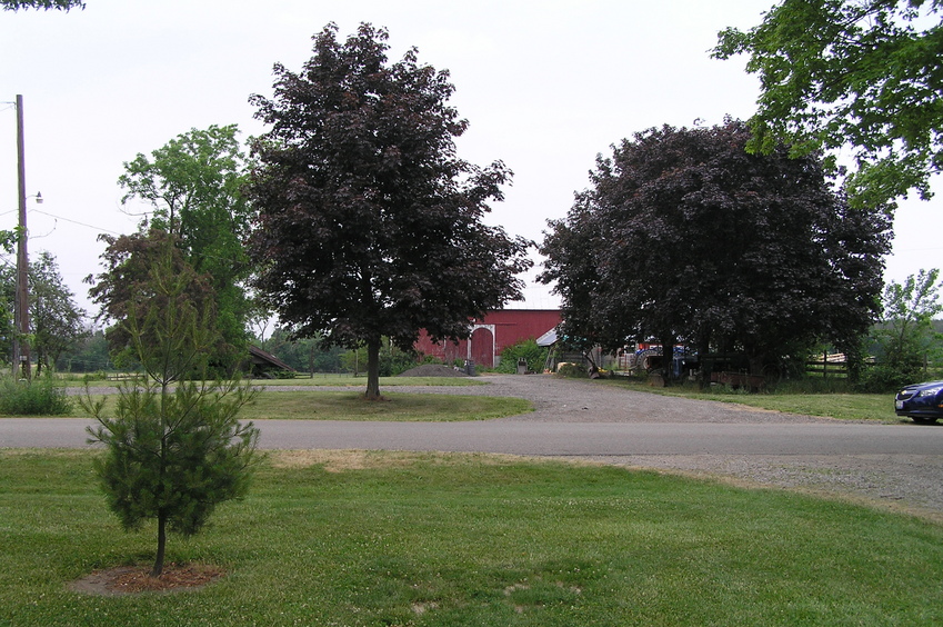 View of the confluence, on the left side of this photograph, just in front of the small tree on the left, looking due north.