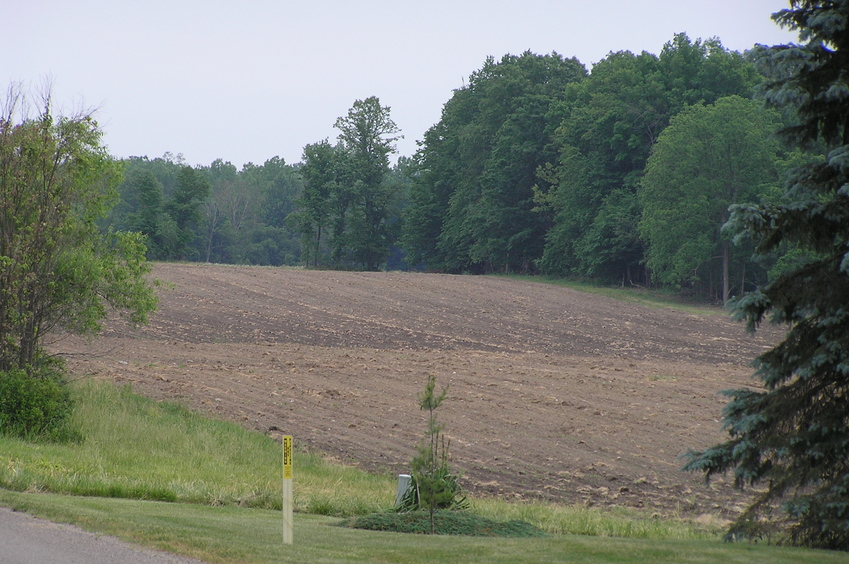 Zoomed view to the southeast from the confluence showing surrounding terrain.