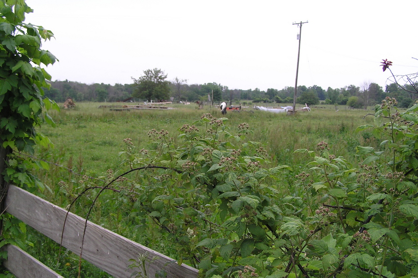 View to the northeast from the east-west road just north of the confluence.