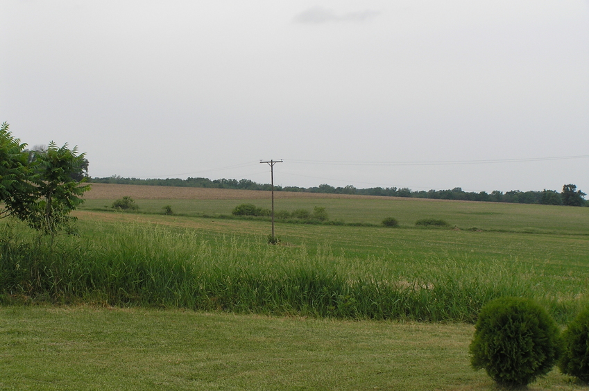 The first clear view to the northwest, about 75 meters west of the confluence. 