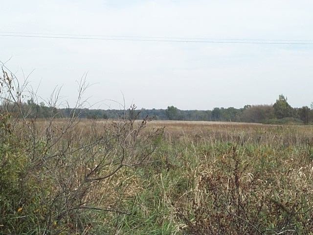 Tracks leading there are fenced and posted