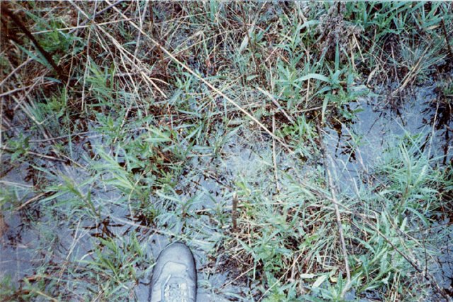 Looking down on the confluence, and my foot