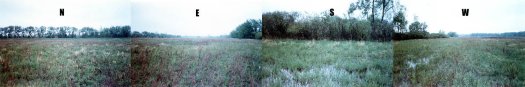 #1: Panorama from the confluence point