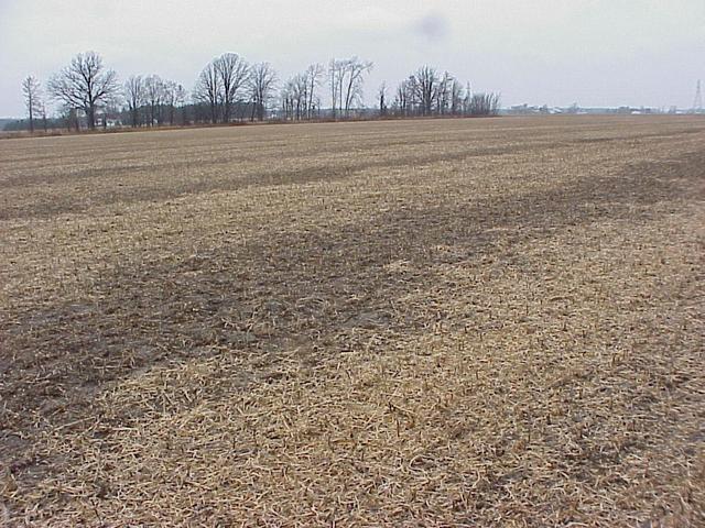 Confluence site, looking northwest.