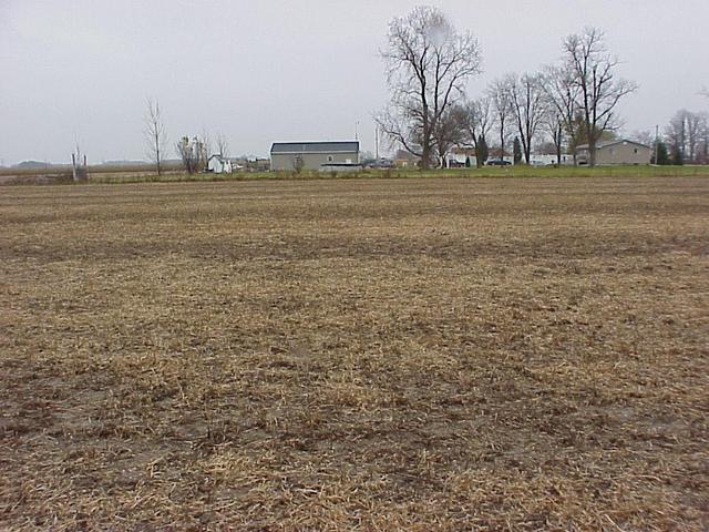 View to the east from the confluence.