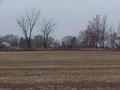 #7: View to the west from the confluence site.