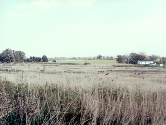 Rolling meadow and corn fields, east from confluence.