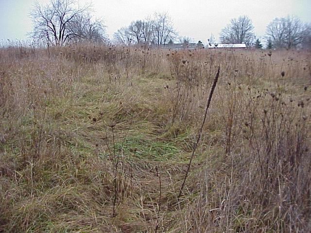 Confluence site, looking north.