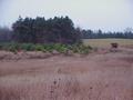 #5: View to the south from the confluence.