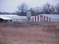 #6: View of the farm to the northeast from the confluence.