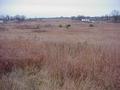 #7: View to the east from the confluence.