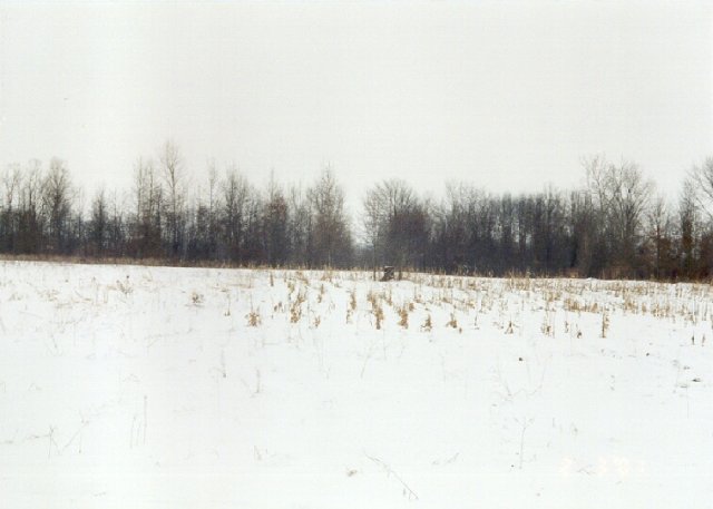 View South - I used the stump for my self-portrait