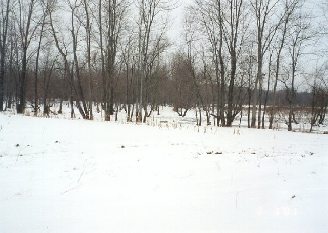 View West - Frozen-over Bass River