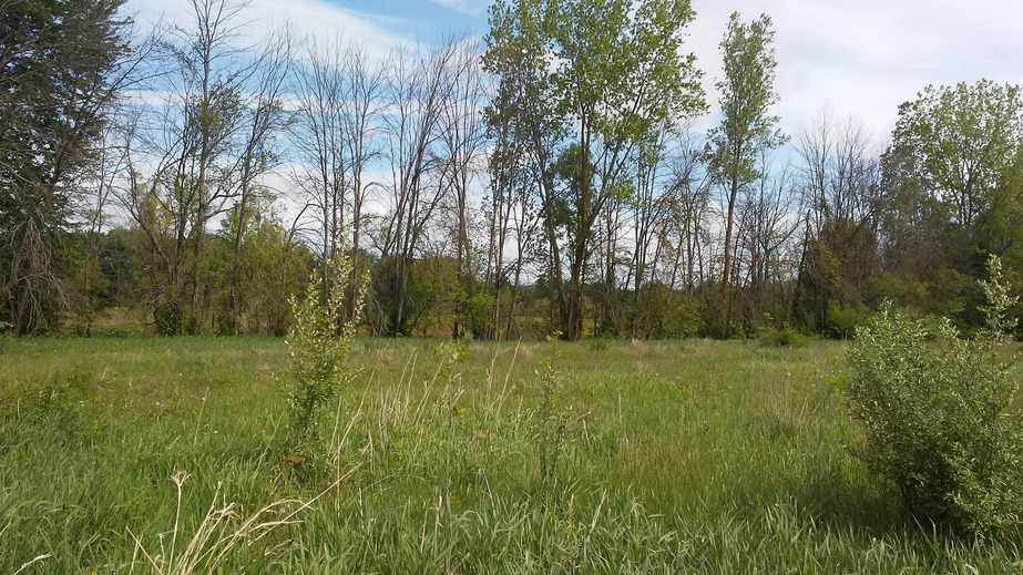 Confluence area looking north