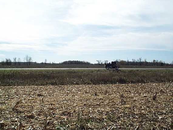 The nearest road is just south of the confluence