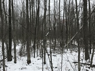 #5: View to the north toward the confluence from the nearest road.