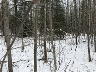 #5: View to the north from the confluence.