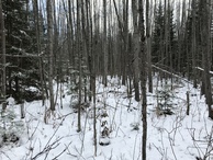 #6: View to the east from the confluence. 