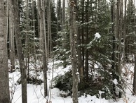 #7: View to the south from the confluence.