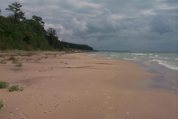 View east along the shore.