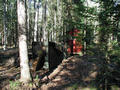 #3: The deer stand, used to feed deer and sometimes to hunt them.