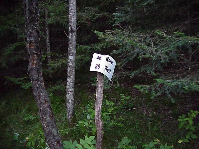 Looking east at the confluence site in the Upper Peninsula Michigan forest.