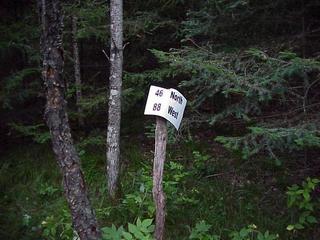 #1: Looking east at the confluence site in the Upper Peninsula Michigan forest.