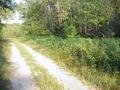 #8: Wild raspberries were abundant along the route to the confluence.