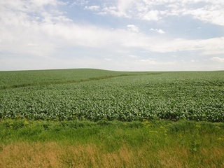 #1: South view, the confluence is out there somewhere