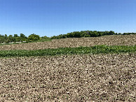 #3: The view to the east from the confluence point.