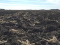 #4: View to the south from the confluence.