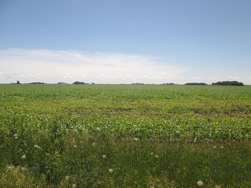 South view, the confluence is about 120 m that way.