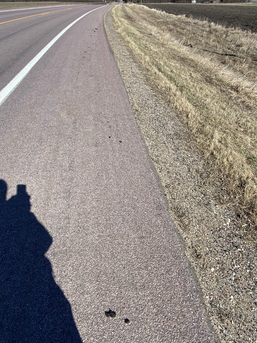 Muddy footprints on road north of confluence point, looking east.