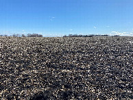 #4: View to the south from the confluence point.