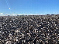 #5: View to the west from the confluence point.