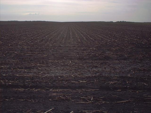 East toward confluence