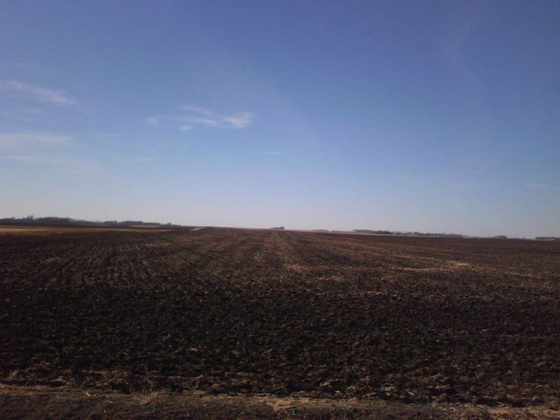 Looking west toward the Confluence from 45m