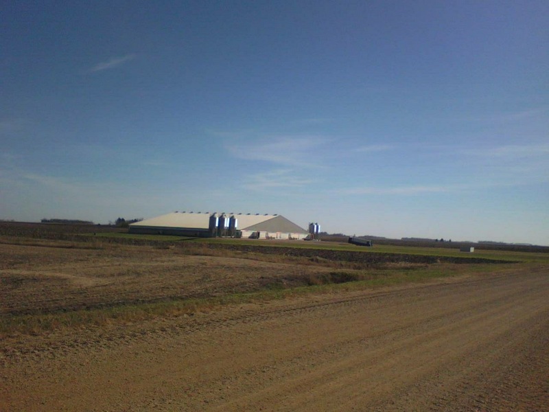 Looking southeast at the chicken feeding building