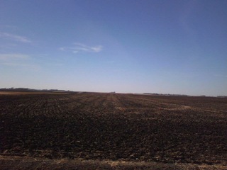 #1: Looking west toward the Confluence from 45m