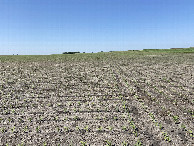 #2: View to the north from the confluence point