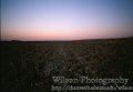 #5: Looking West from the confluence.