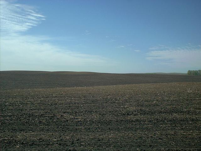 View of confluence from fenceline