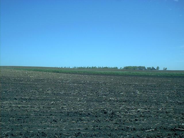 North from confluence (toward fenceline)