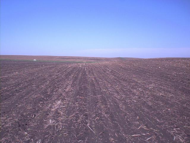 West from confluence (toward road)