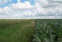 #6: The edge of the field containing the confluence - and the endless sky beyond