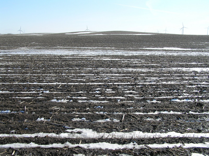 View to the south from the confluence.