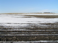 #5: View to the north from the confluence.